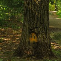 Еще один партизан в Лианозово :: ИРЭН@ .