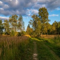 Осень она не спросит ... :: Андрей Дворников