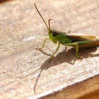 ..31. 08 :: kolyeretka 