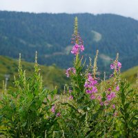В горах :: Татьяна Тюменка В горах :: Татьяна Тюменка