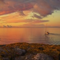 *** :: Сергей  Могутов 