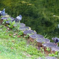 вот и осень :: Олег Лукьянов вот и осень :: Олег Лукьянов