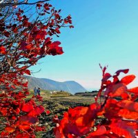 Берег морской :: Светлана 13.06. Берег морской :: Светлана 13.06.