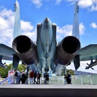 ВВЦ :: АЛЕКСАНДР 