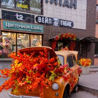 Осень :: Светлана Мишенёва