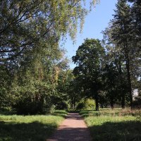 Павловский этюд. :: Наталья Лунева Павловский этюд. :: Наталья Лунева