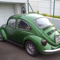 Жук зелёный :: Сергей Порфирьев