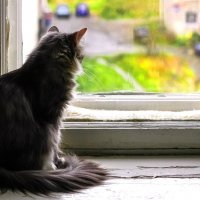 Осенняя пора.. :: Василий 