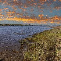 берег Оби ранней осенью :: Дмитрий Карышев