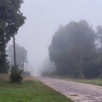 Утренний туман. :: Ольга 