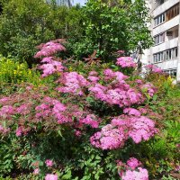 в городе... :: Галина Флора