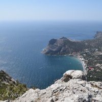 Природа Крыма :: Amazing Cosmea