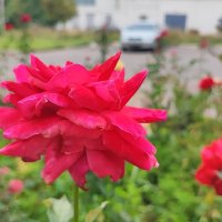 ,,, :: Сергей Тимоновский