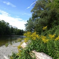 "У сентября удивительная способность влюблять в себя постепенно. "... :: Галина 
