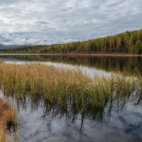 Озеро Киделю :: Марина Фомина.