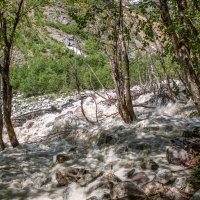 Молочные реки, кисельные берега реки Чалаади, Сванетия, Грузия. :: Дина Евсеева