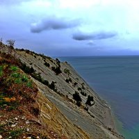 Берег моря :: Мишель71 