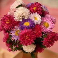 цветы :: Вячеслав Дроздов цветы :: Вячеслав Дроздов