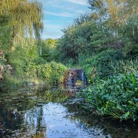 Старый, заброшенный пруд :: Юрий Яловенко