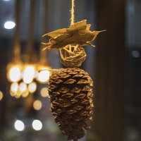 Шишка :: Zif K.