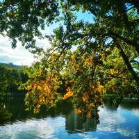 Московские пруды :: Сергей Б.