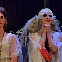 Раба Любви :: Владимир Куликов