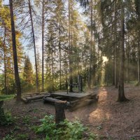 Солнце на Волчьем  овраге :: Денис Бочкарёв