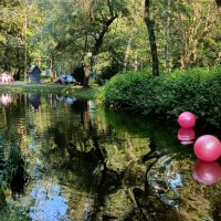 Лилин прудик :: Галина R... Лилин прудик :: Галина R...