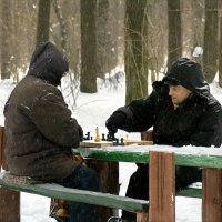 Зимний мат :: Владимир Шишкин