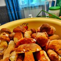 ГРИБЫ :: Анатолий Малобродский