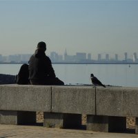 "вдали о шума городского" :: sv.kaschuk 