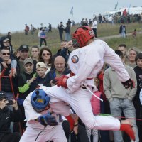 Армейский рукопашный бой :: Дмитрий Петренко