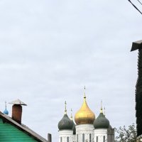 За забором :: Алексей Лукаев