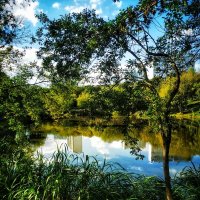 Парк Каскад :: Сергей Б.