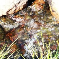 Течение ручья :: Александр Чашин