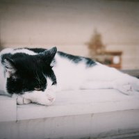 Просветлённый... :: Магомед . Просветлённый... :: Магомед .