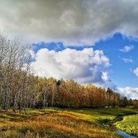 Золотая осень на протоке Девкина! :: Владимир 