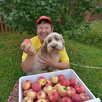 Уральское наливное... )) :: Владимир Хиль Уральское наливное... )) :: Владимир Хиль