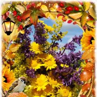 С Днём разноцветных букетов! :-) :: Андрей Заломленков