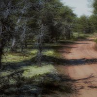 Долгая дорога. :: Владимир Владимир Долгая дорога. :: Владимир Владимир