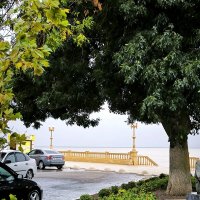 *** :: Oksana Verkhoglyad