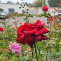 ,,, :: Сергей Тимоновский ,,, :: Сергей Тимоновский