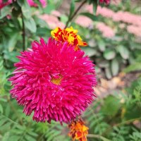 ,,, :: Сергей Тимоновский