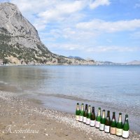 Природа Крыма :: Amazing Cosmea