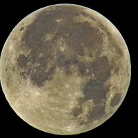 Кукурузная Луна :: Сеня Белгородский Кукурузная Луна :: Сеня Белгородский