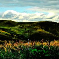 Предосеннее :: Галина Шеина-Мюльдорфер