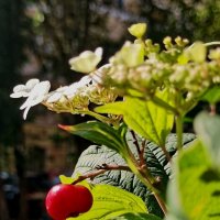 Когда просто, хорошо и красиво :: Любимова Ольга 