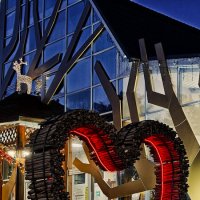 сердце :: Андрей Выровой