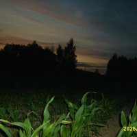 закат :: fogmeadowww m