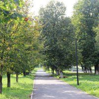 Сентябрь. :: Венера Чуйкова